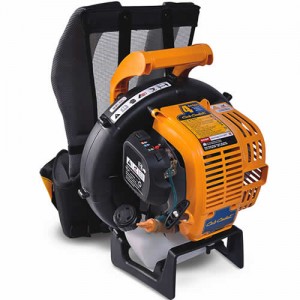 CubCadet Blower