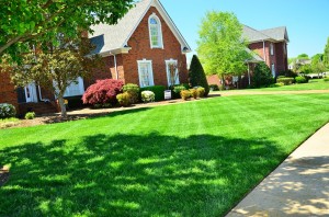 lawn-care-643561_960_720