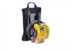 Servicing the BB230 Blower